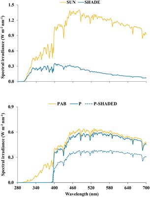 Acclimation of Bryophytes to Sun Conditions, in Comparison to Shade Conditions, Is Influenced by Both Photosynthetic and Ultraviolet Radiations